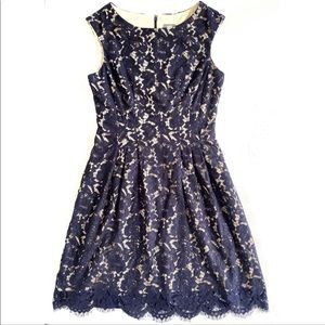 Vince Camuto • blue lace sleeveless sheath dress size 8